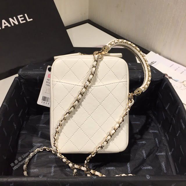 Chanel女包 AS1753 Chanel2020走秀款包 香奈兒2020春夏最新豎斜提相機包 手提 單肩斜挎  djc3917